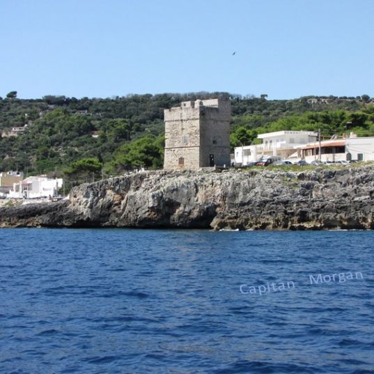 Marina Serra Novaglie