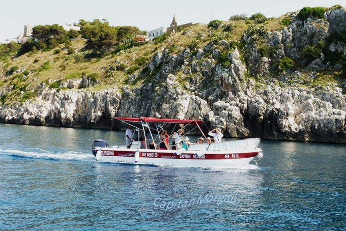 Escursione in barca privata da 12 passeggeri